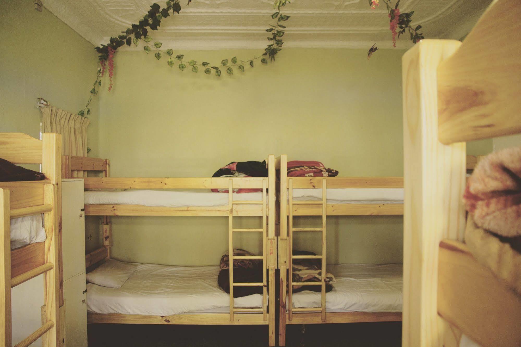 Homebase Melville Backpackers Johannesburg Eksteriør billede
